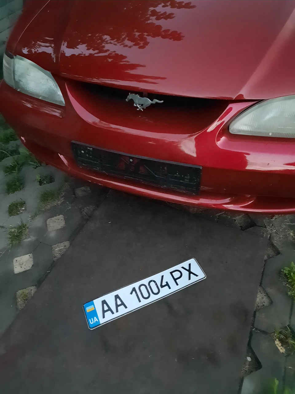 Березня любить Мустанг