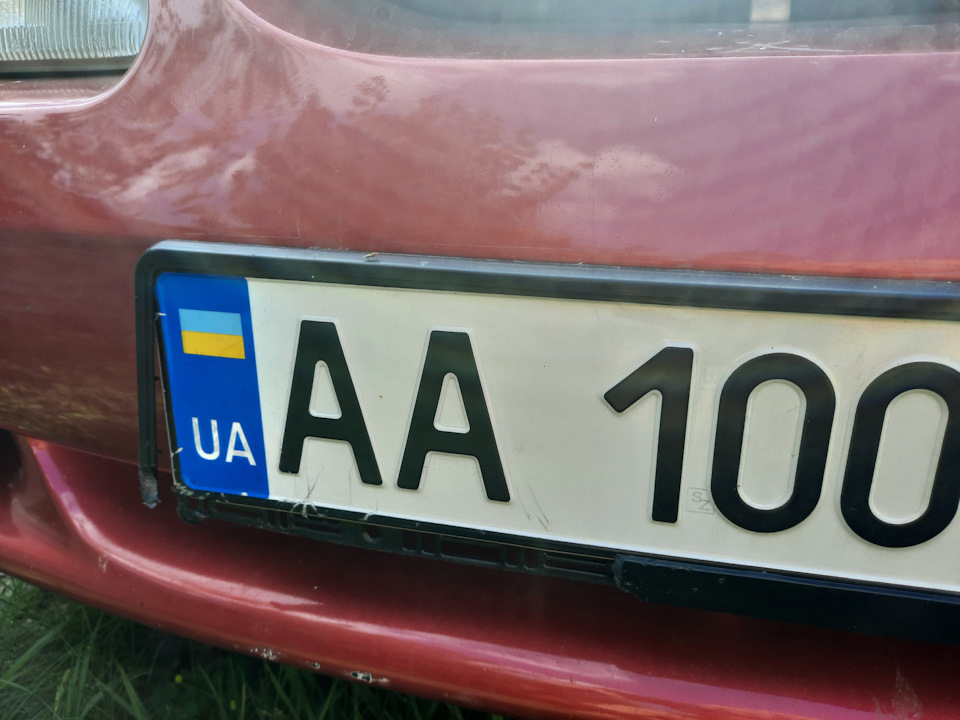 Березня любить Мустанг 2