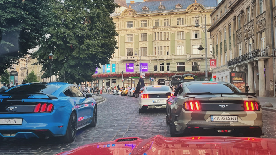 Зліт у Карпатах 5