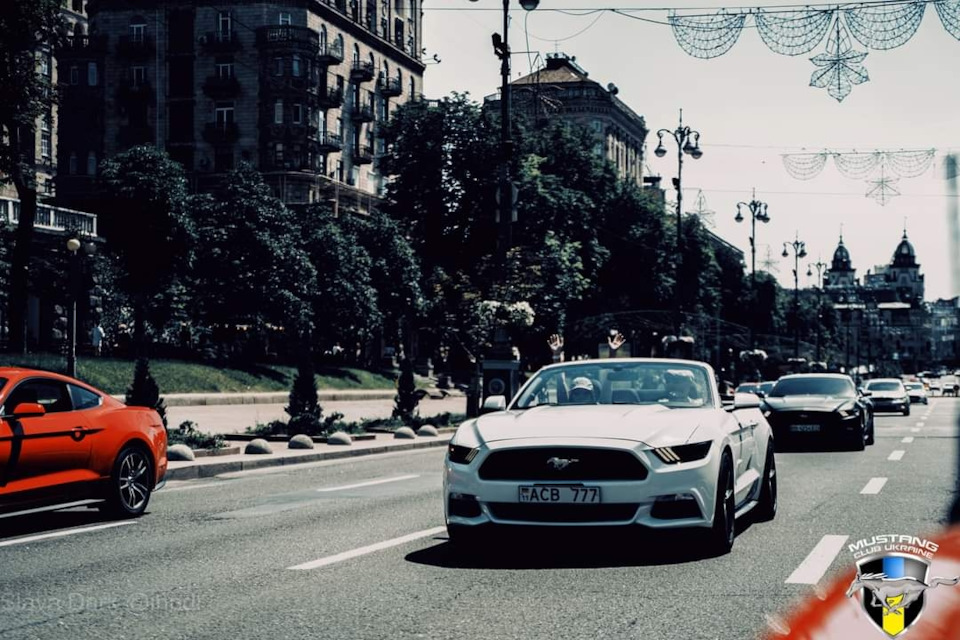 Київське водосховище 5