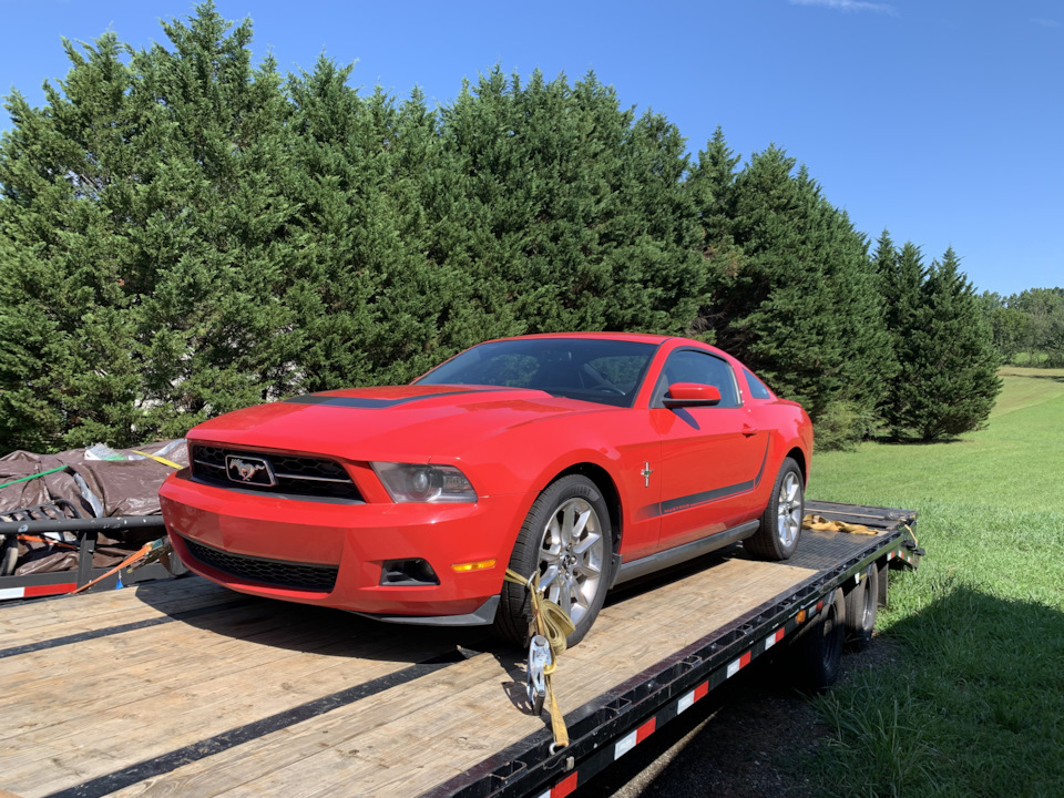 Історія як я купив свій перший Mustang v6 4.0 2010 3