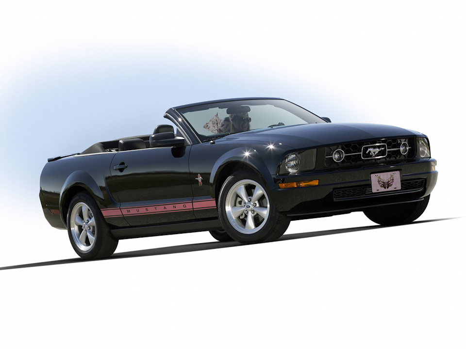 Історія Mustang S197: Part 3 - спеціальні випуски 4