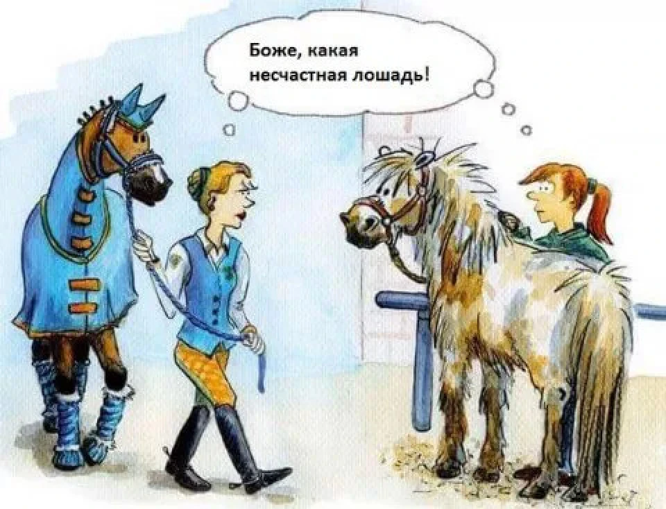 я люблю свою коника...