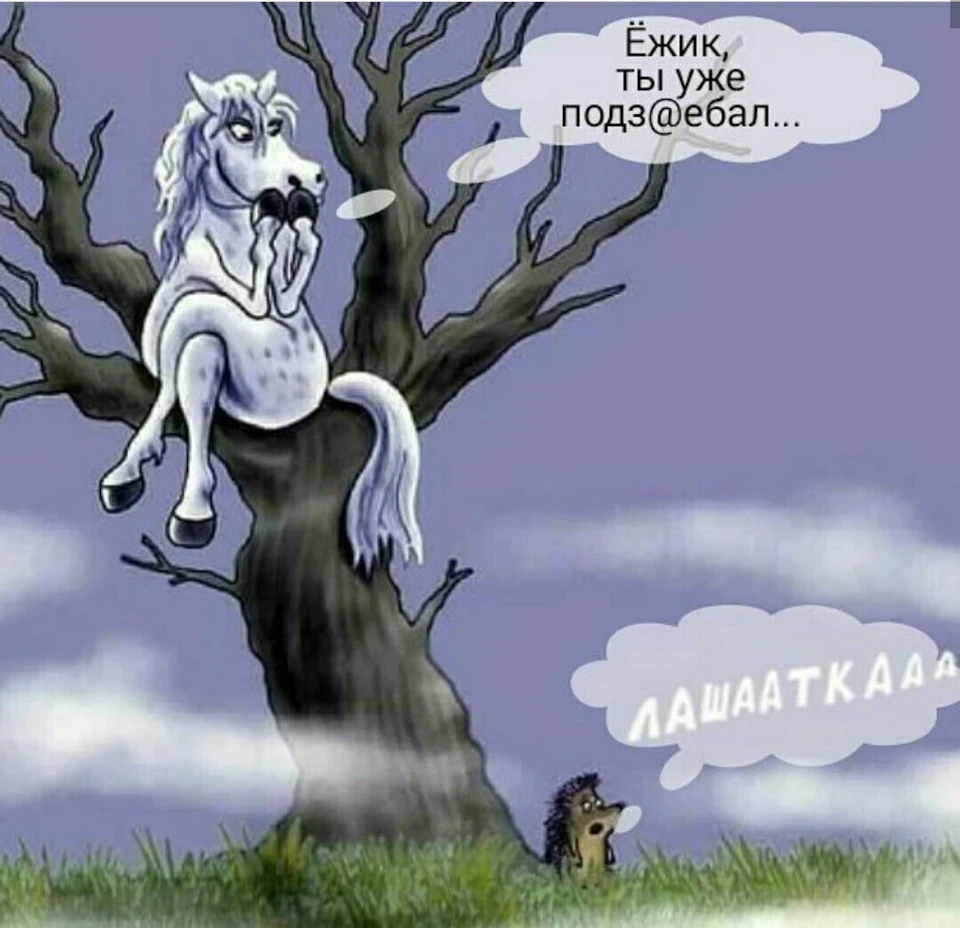 бо як же таке могло статися? мустанг? після пежо?