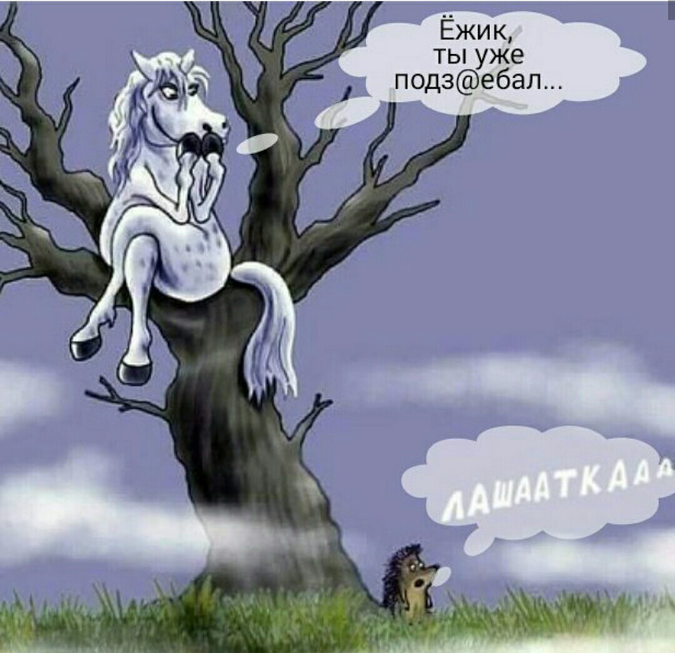 бо як же таке могло статися? мустанг? після пежо? 1