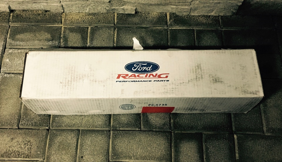 Ford Racing Rear Lower Control Arms 1