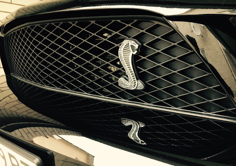 Front Bumper Grille Emblem 1