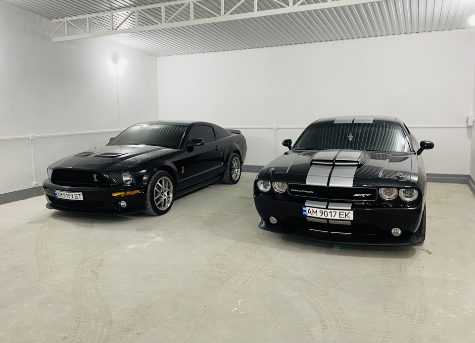 Muscle Garage 1