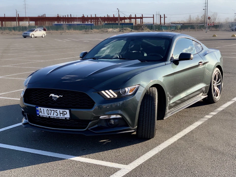 Mustang Guard