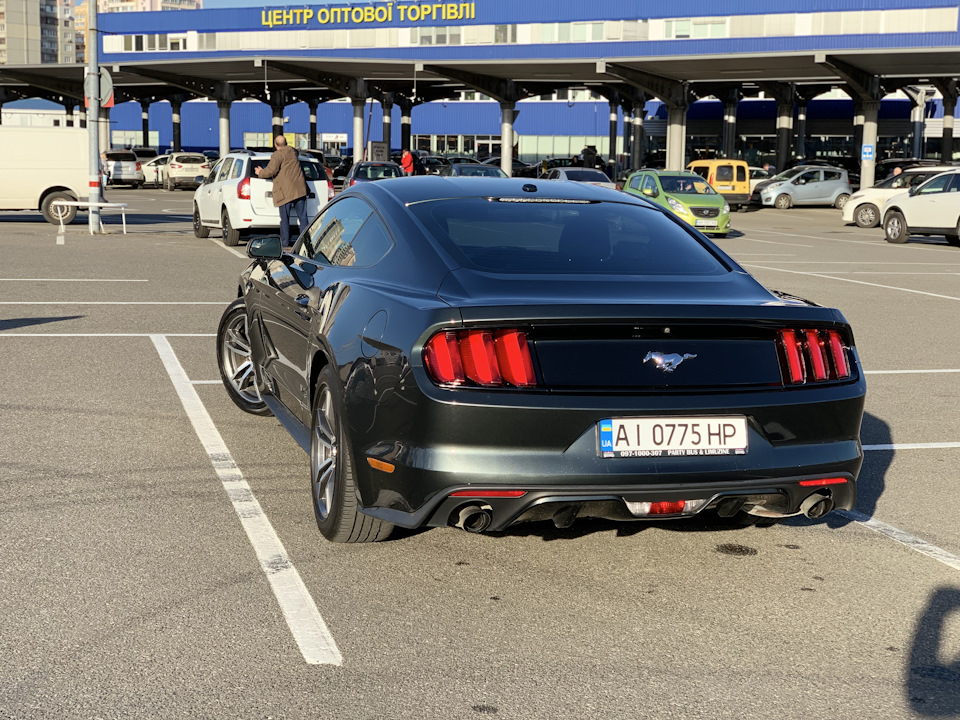 Mustang Guard 2