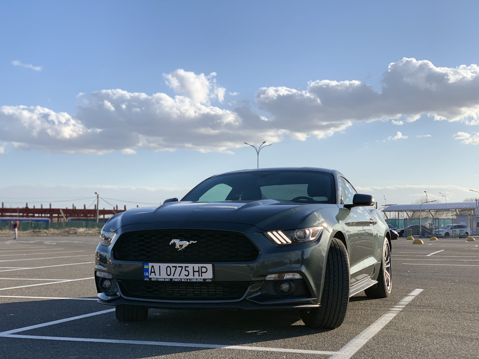 Mustang Guard 3