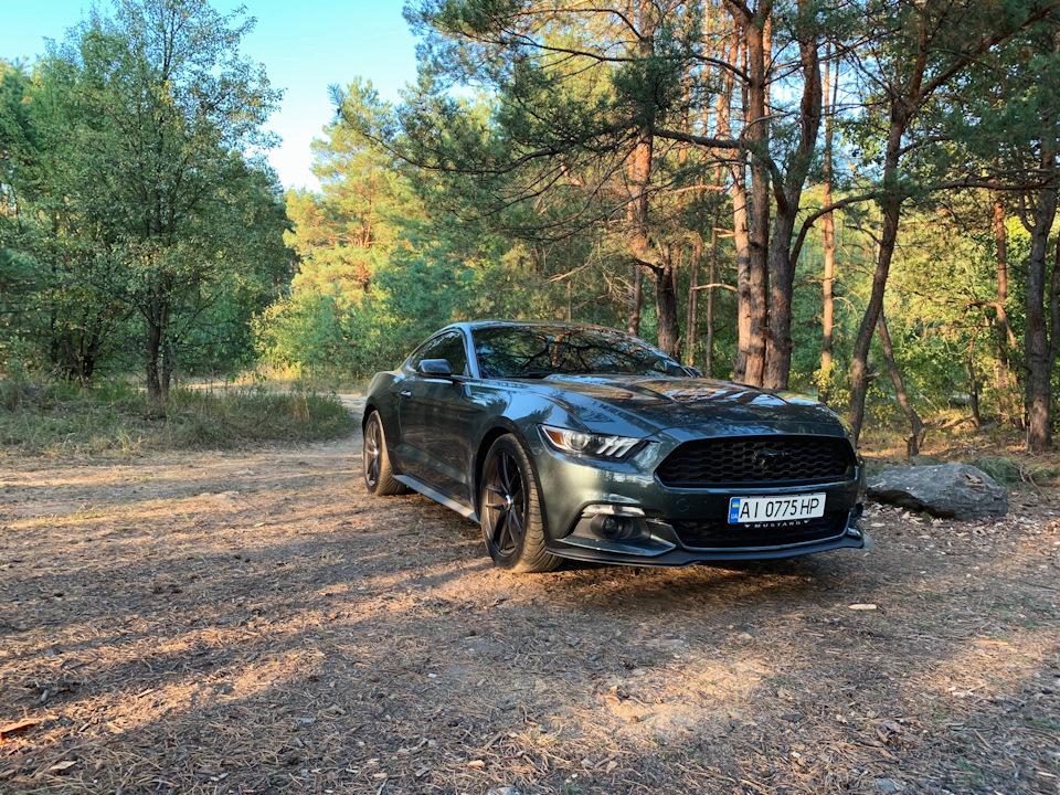 Off road 1
