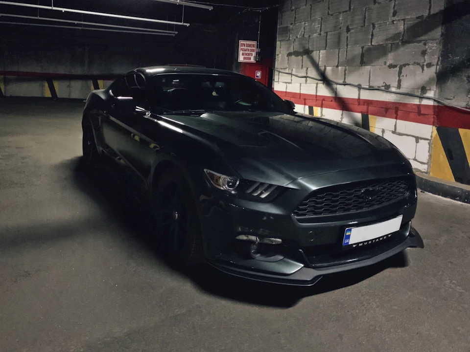 Зовнішка