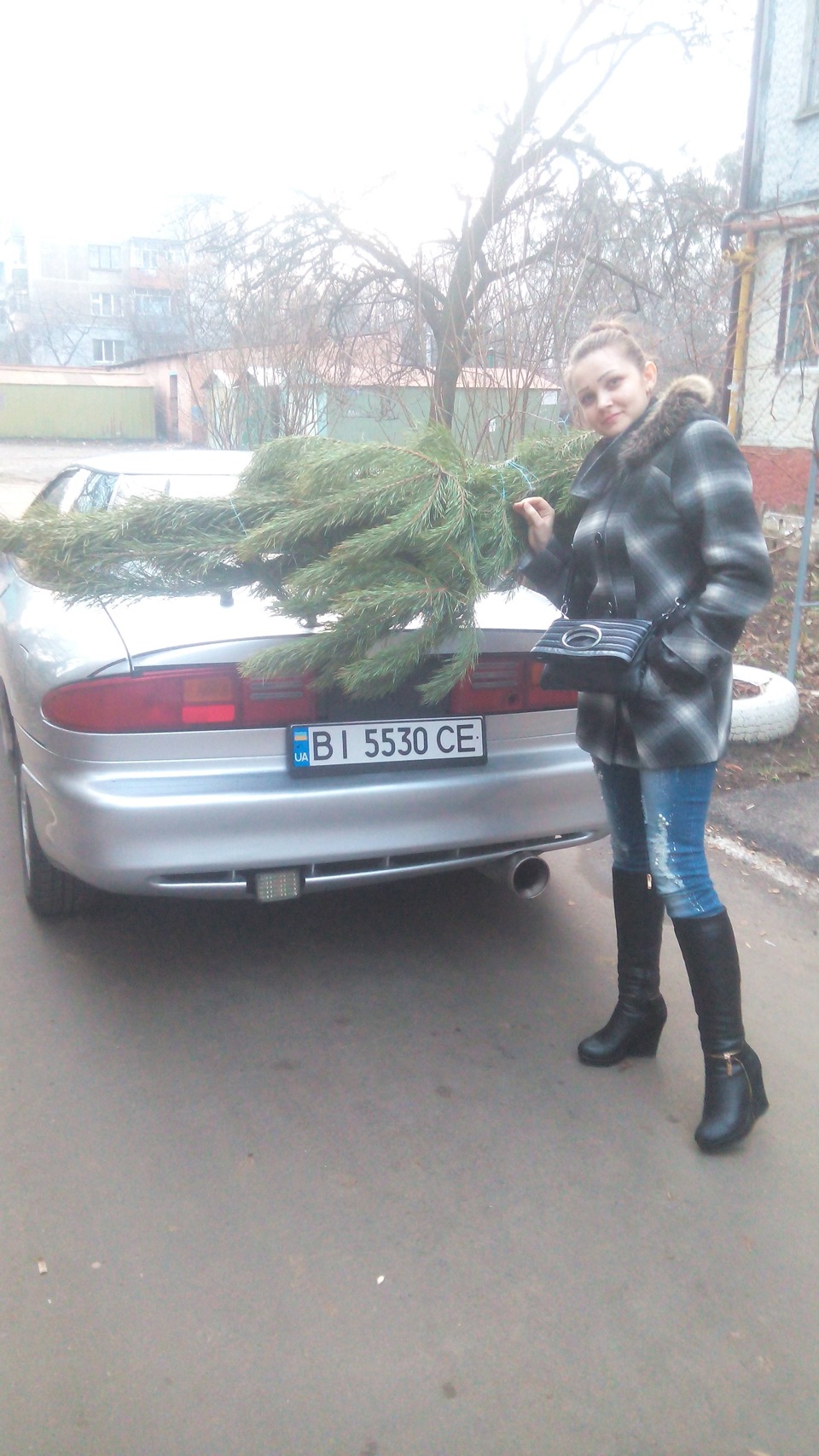 Доставка ялинки додому 3