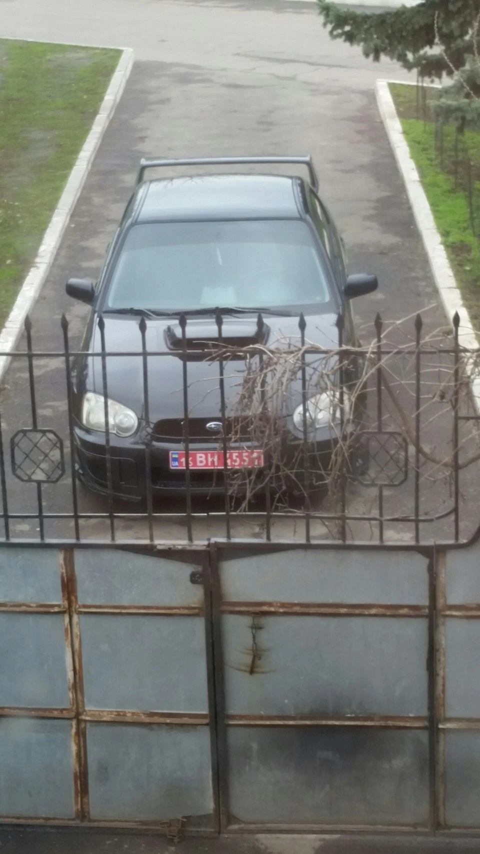 Нове життя