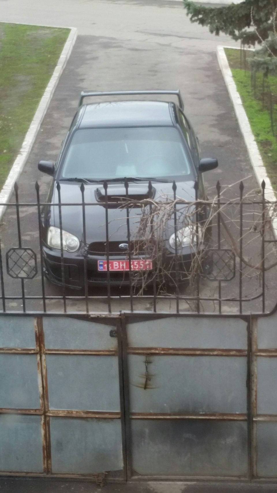 Нове життя 1