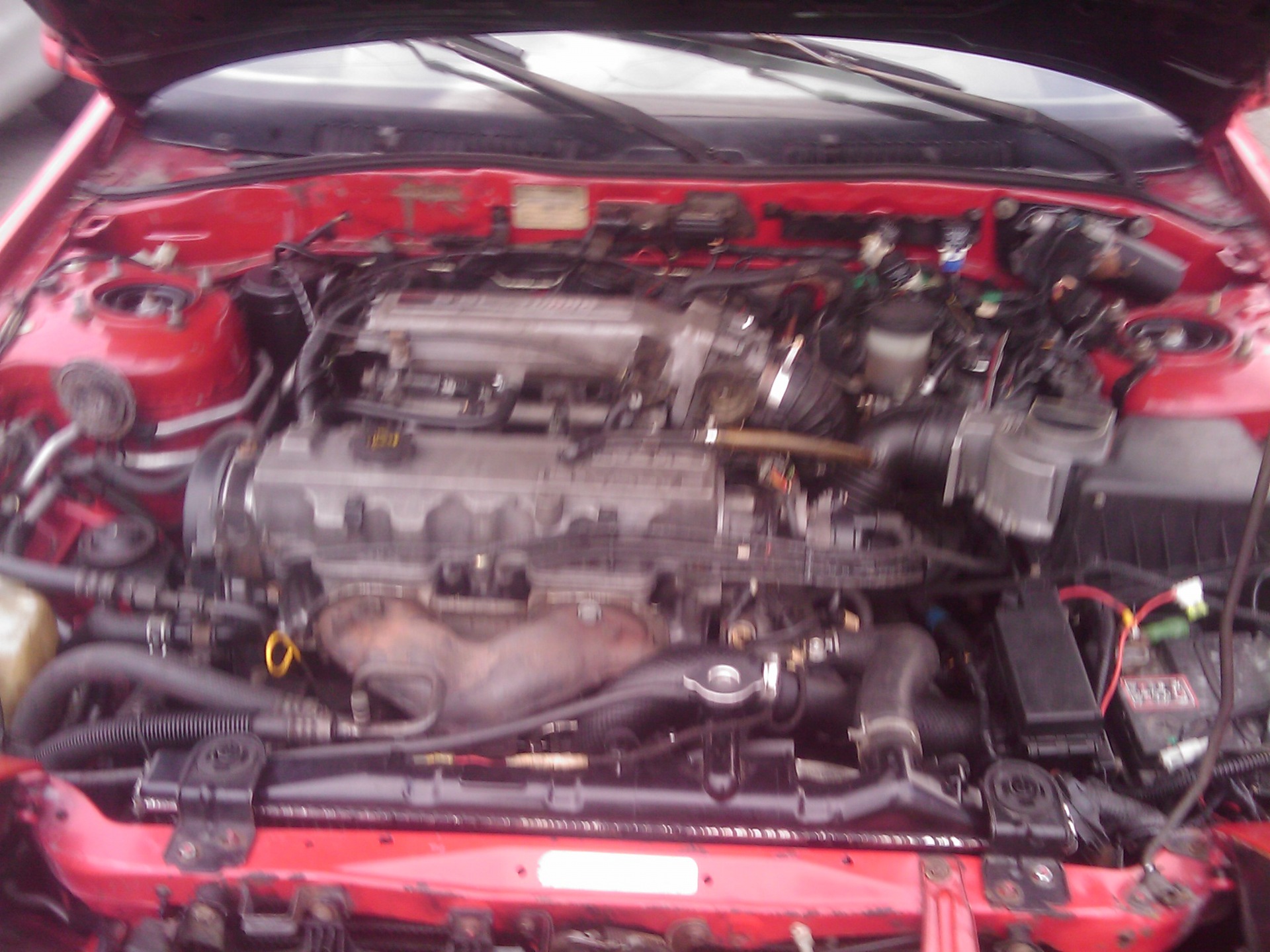 Несподіванок у мішках. 5