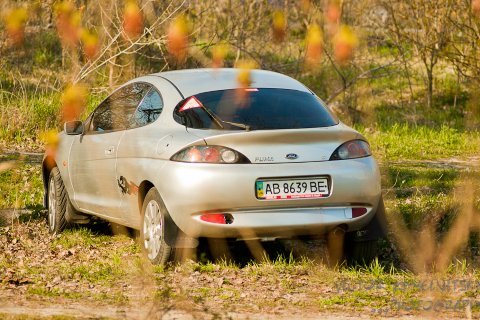 просто покотушки з Київською спільнотою на природі 1