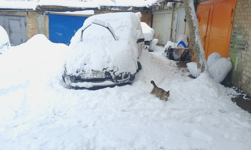 заодно поміняв лампочки ... 1