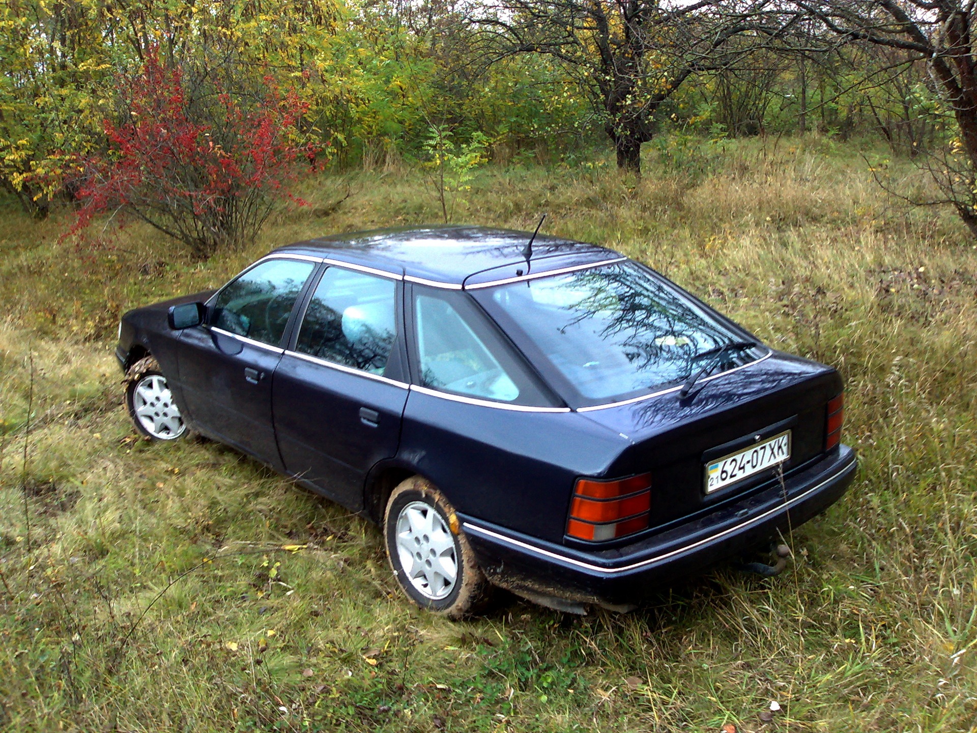 Осінь настала. 2