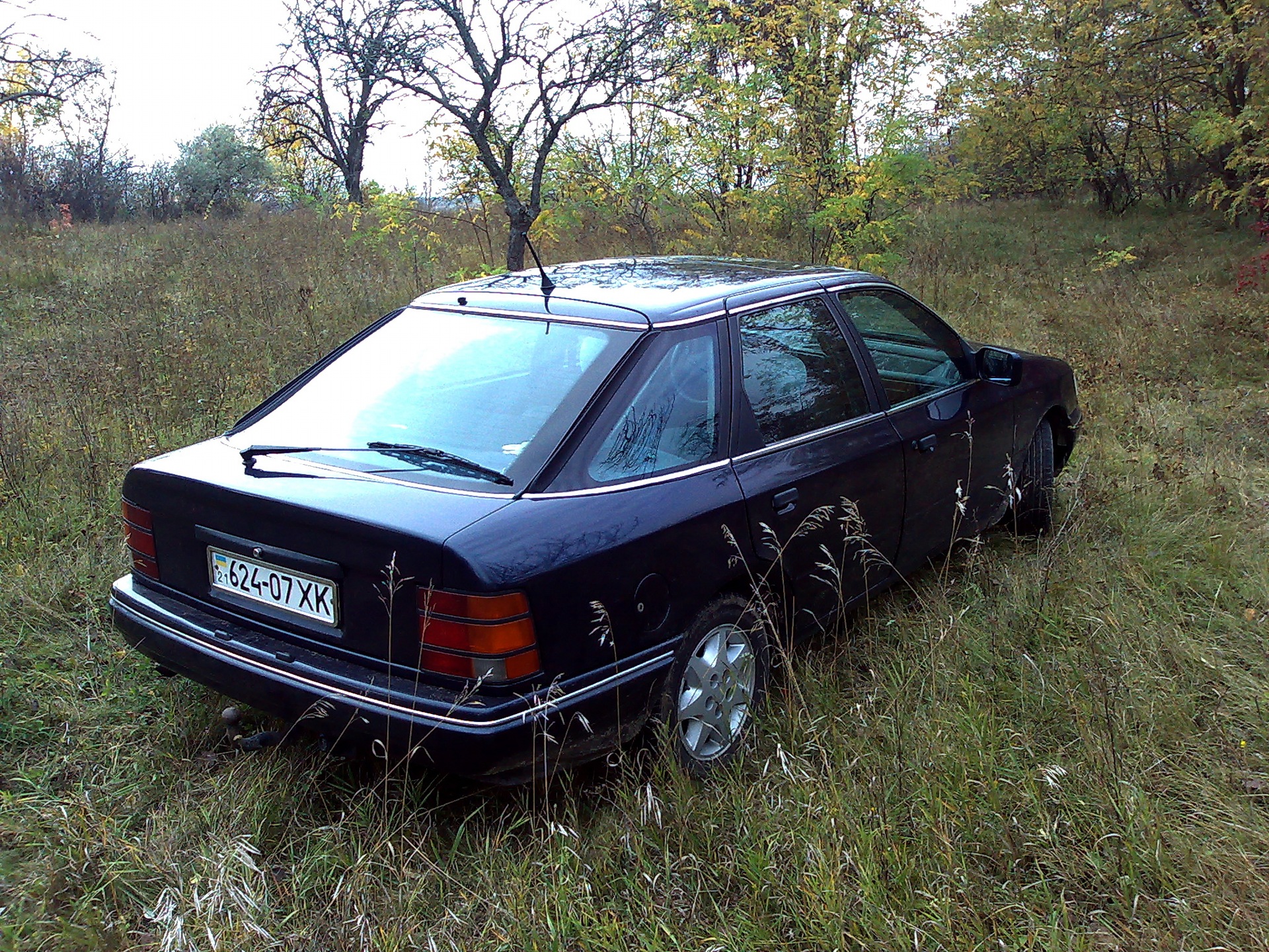 Осінь настала. 1