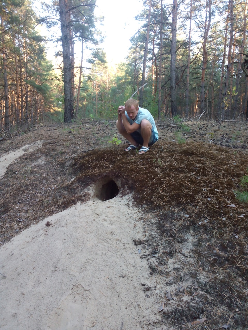 приколись 5