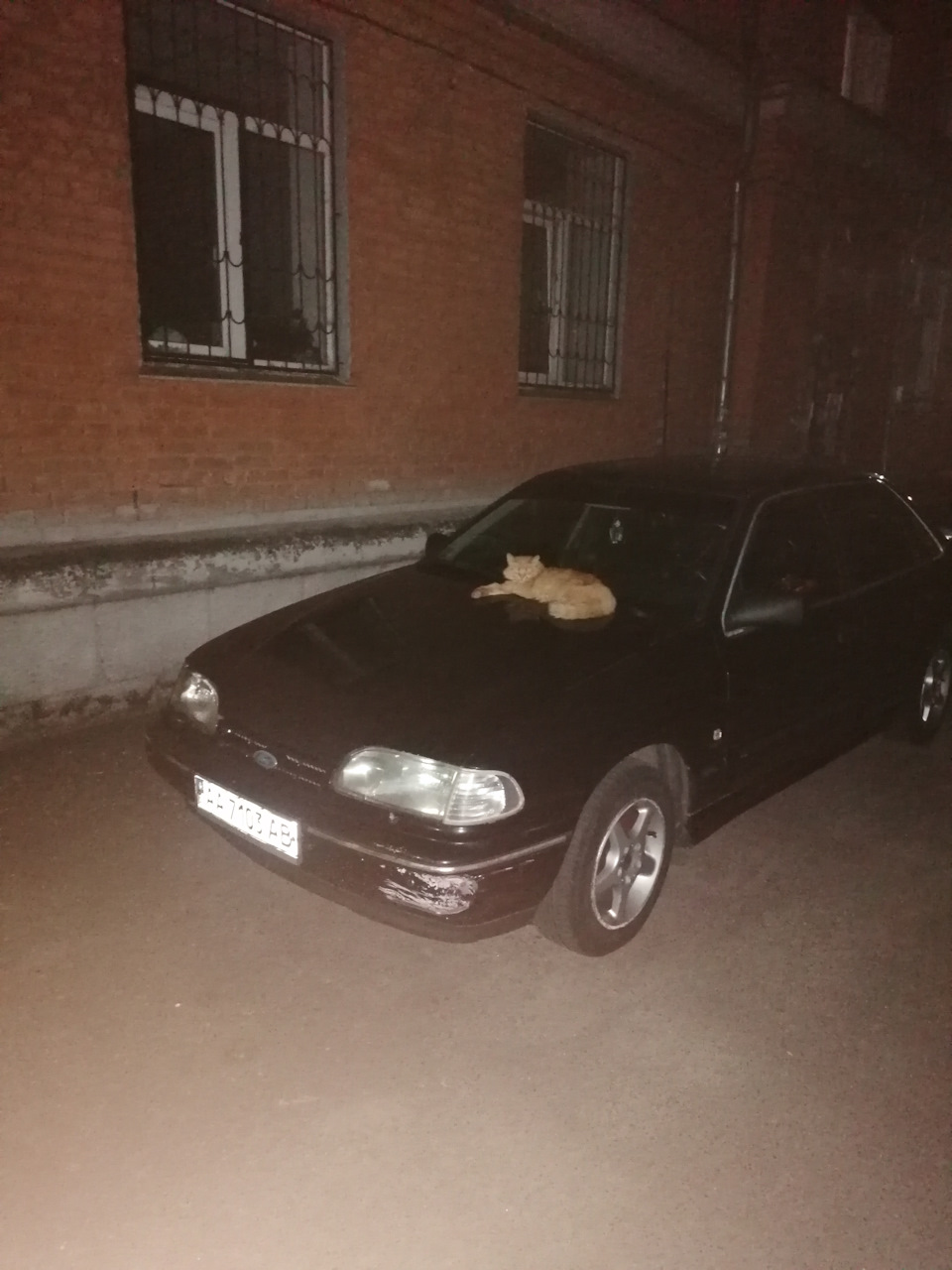Машинка під охороною 1