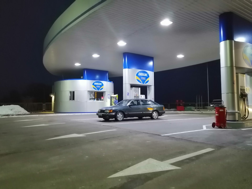 Просто фото Скорпов 2