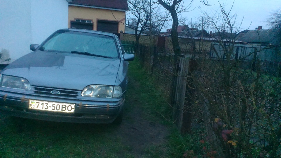 Скорпик вже вдома. 5