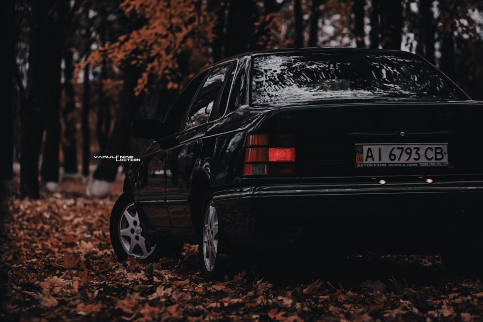 Осінній фотосет 5