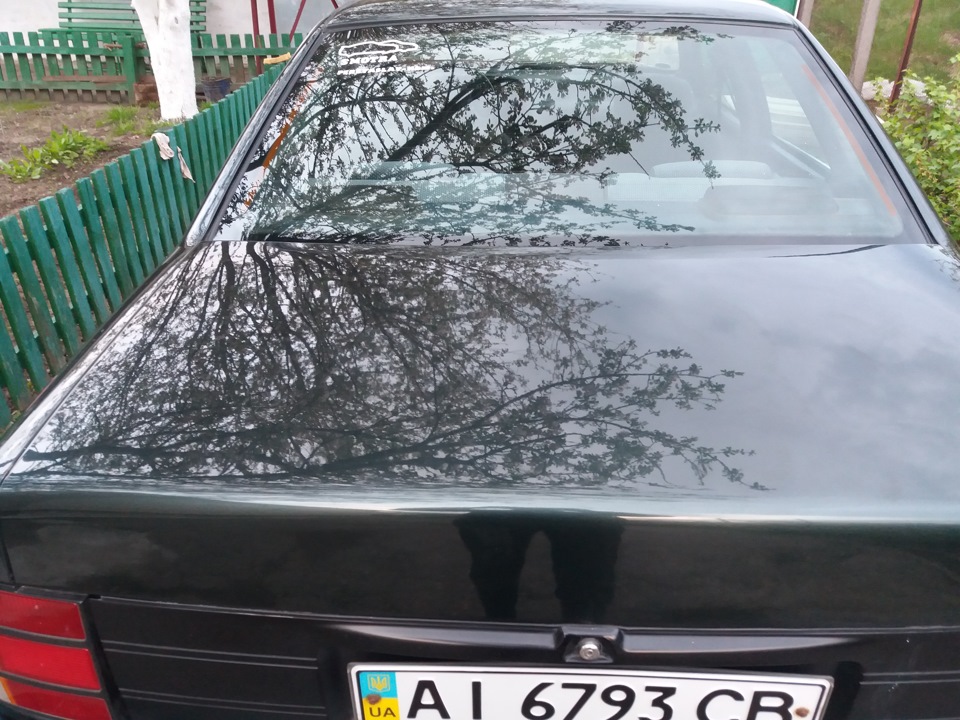 Полірнув свою малечу :)) 3