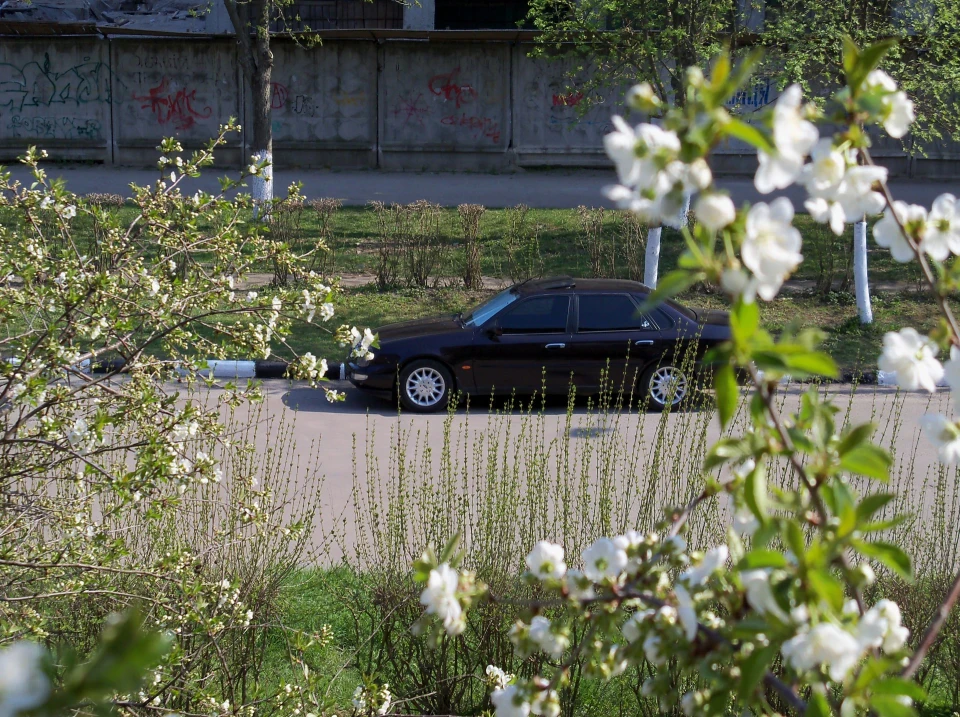 Весняні фотки