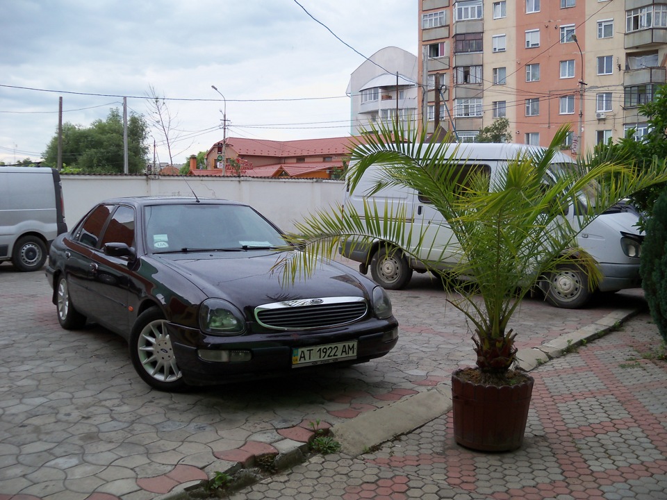 Закарпаття (приємне з корисним) 4