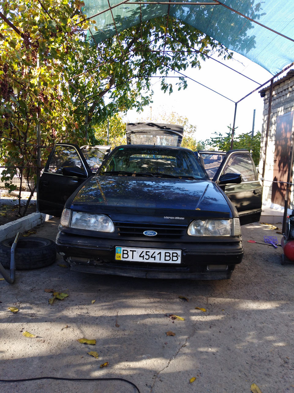 Привёл в сознание 2