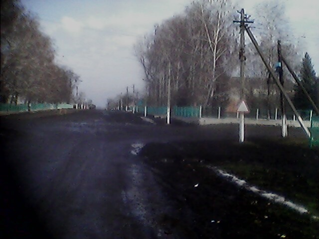 Казуси на наших дорогах 1