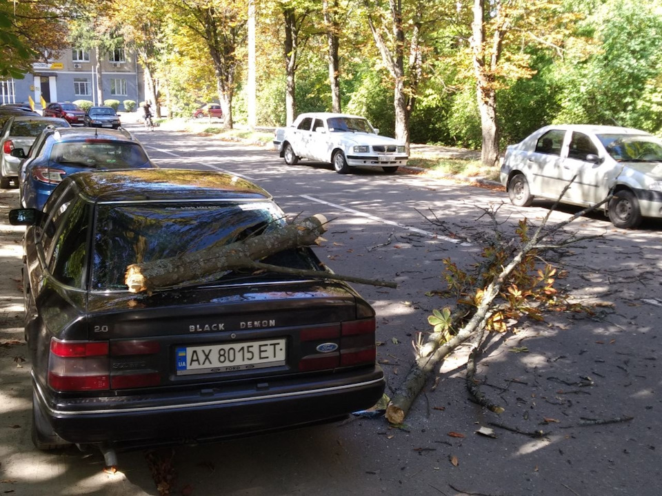 Підступи природи! 2