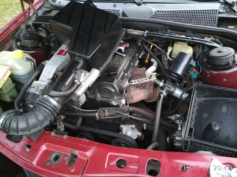 Заміна фільтра газового редуктора (Tomasetto AT07 140HP). 1