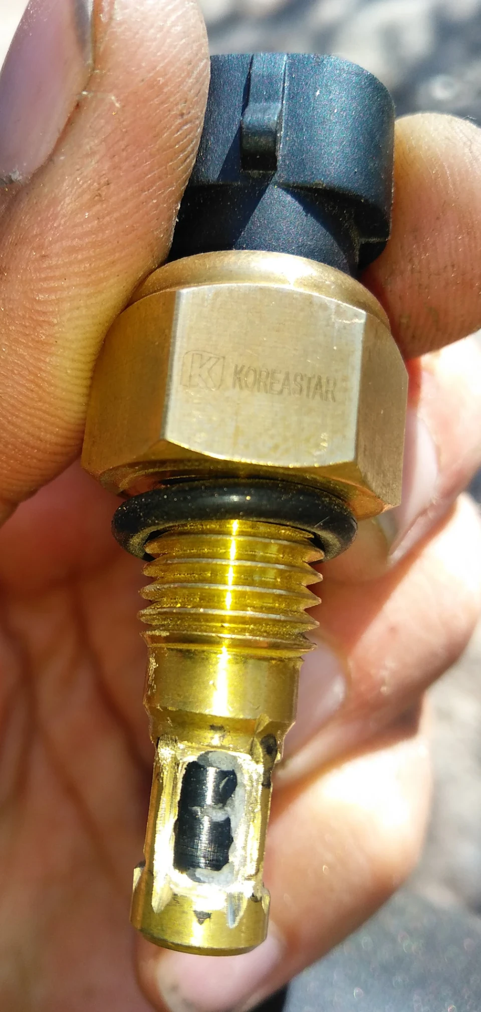 Speeduino відкатка