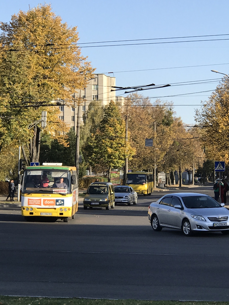 Фото скорпа в русі. 1