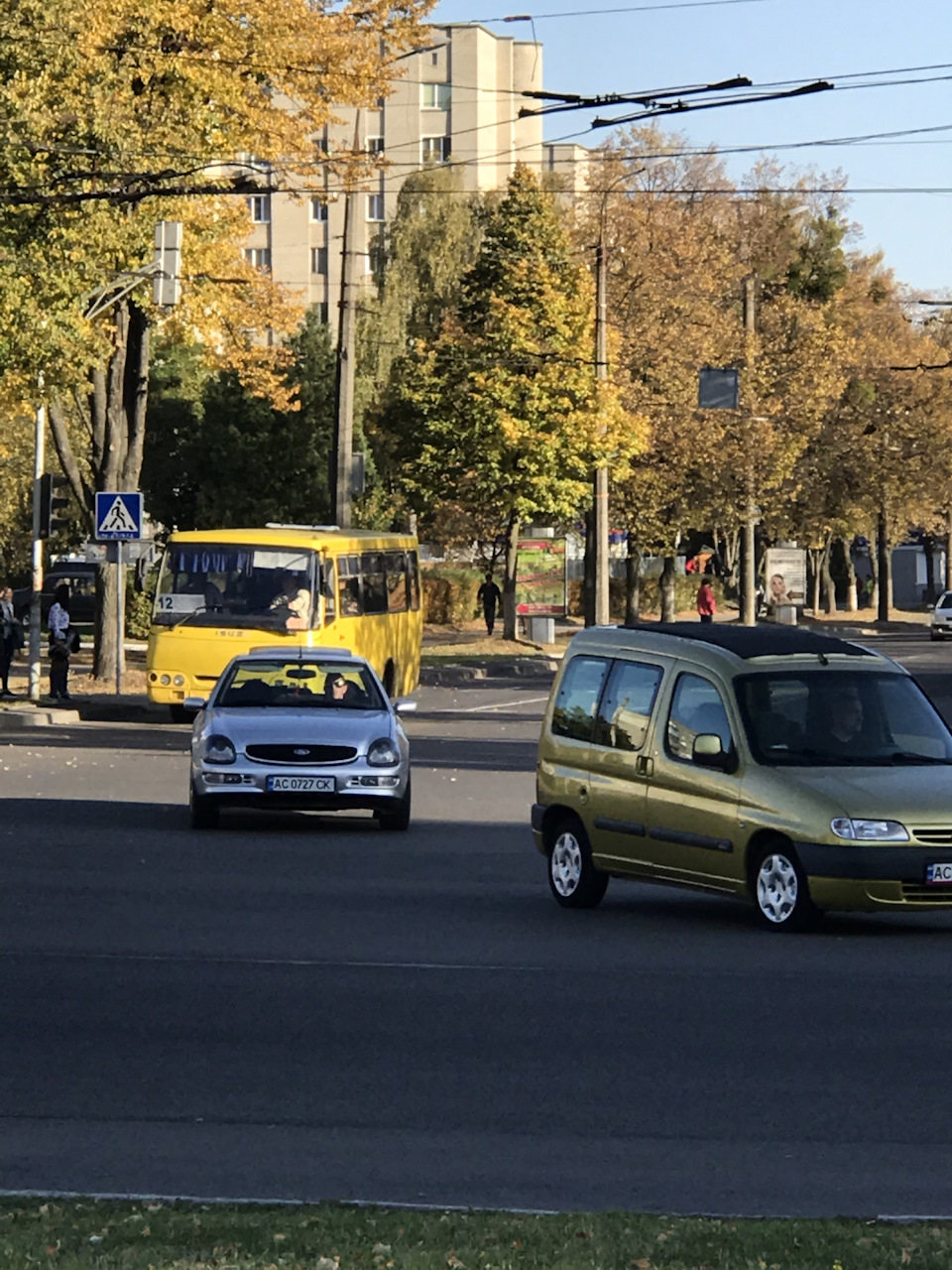 Фото скорпа в русі. 2