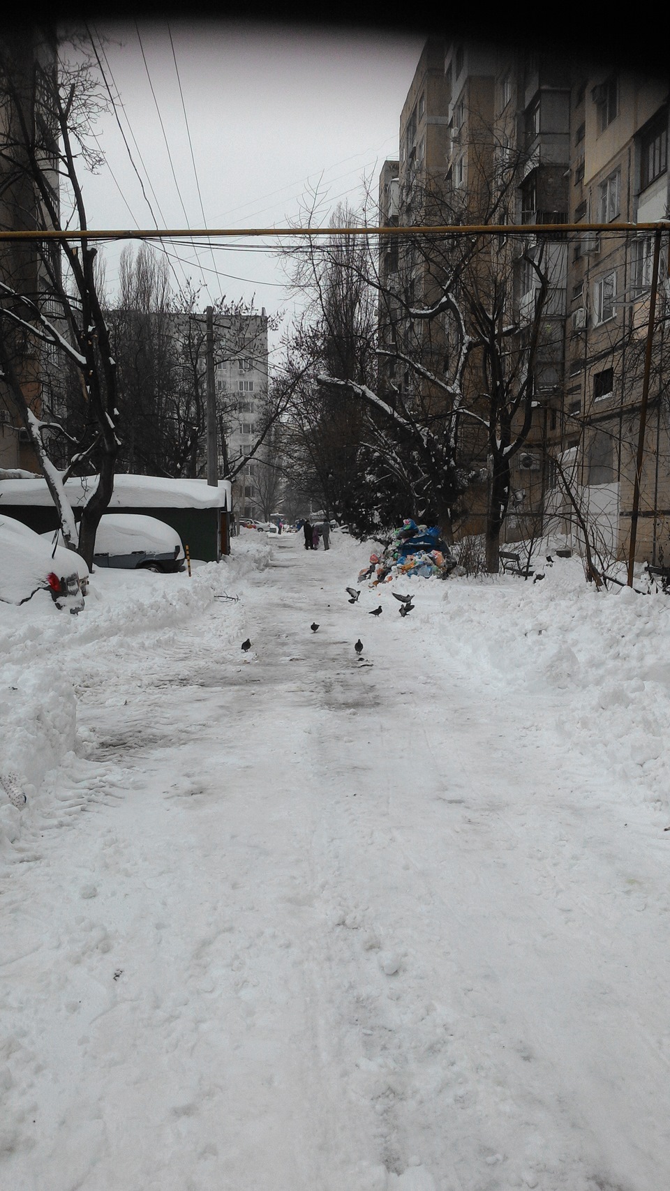 розкопали двір 5