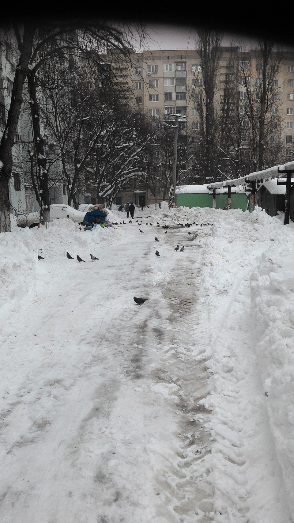 розкопали двір 2