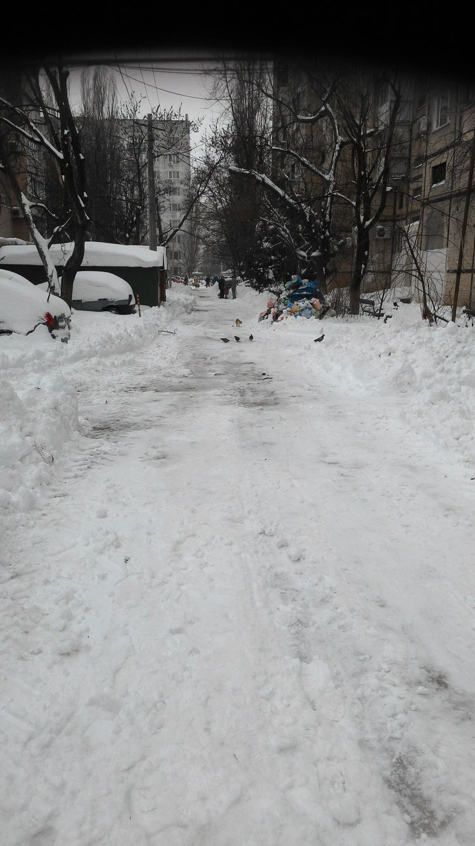розкопали двір