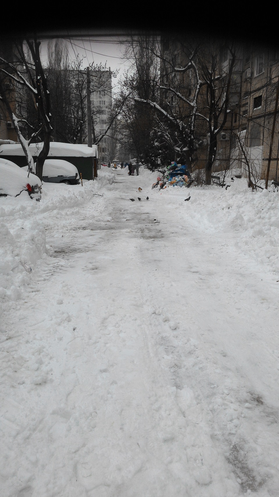 розкопали двір 1
