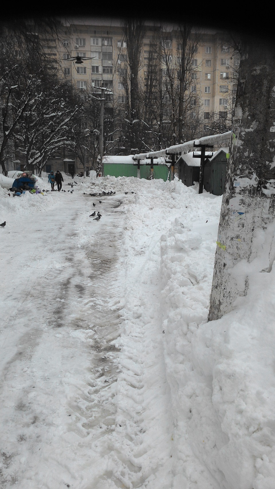 розкопали двір 4