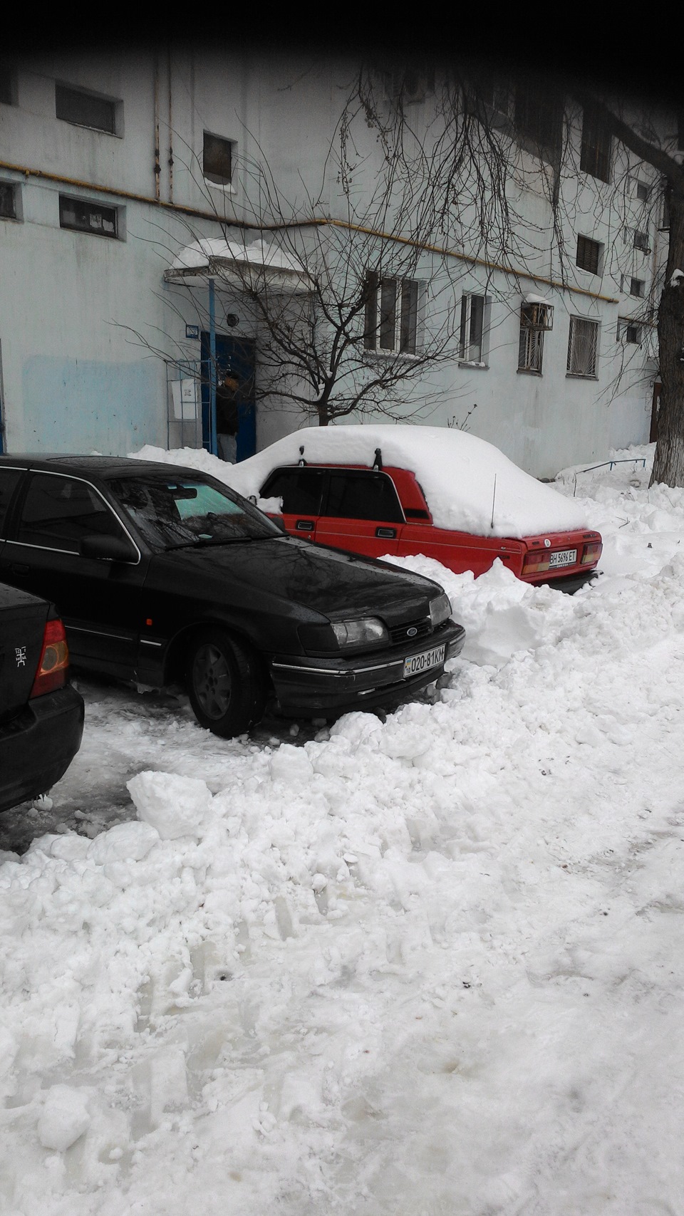 розкопали двір 3