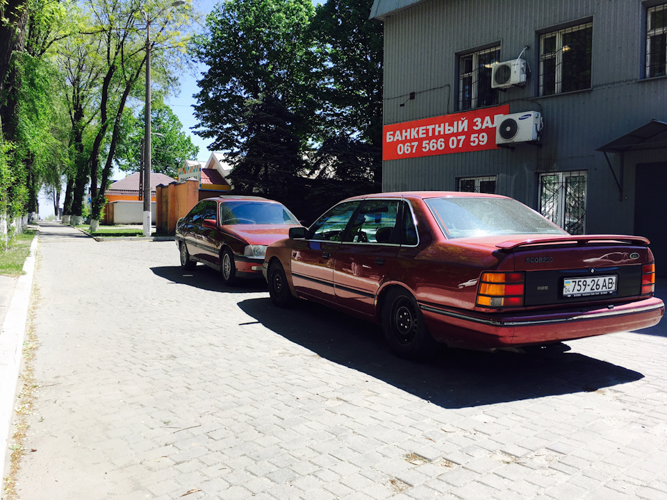 Зустріч з братиком, два німці 2