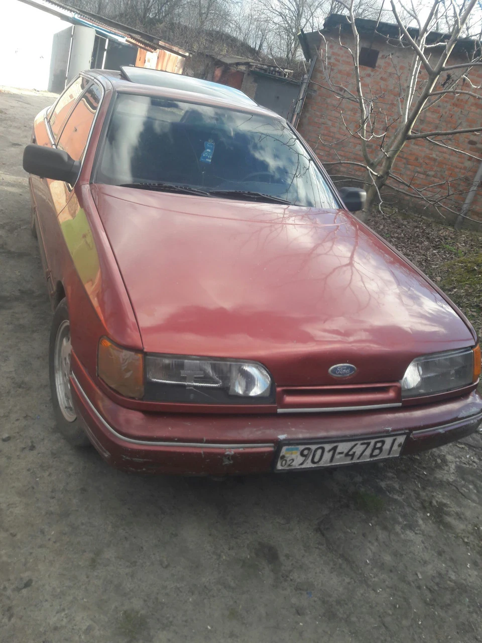 Масел кар