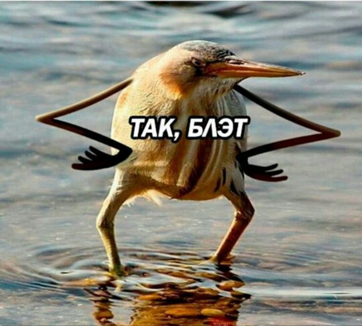 Гума 1