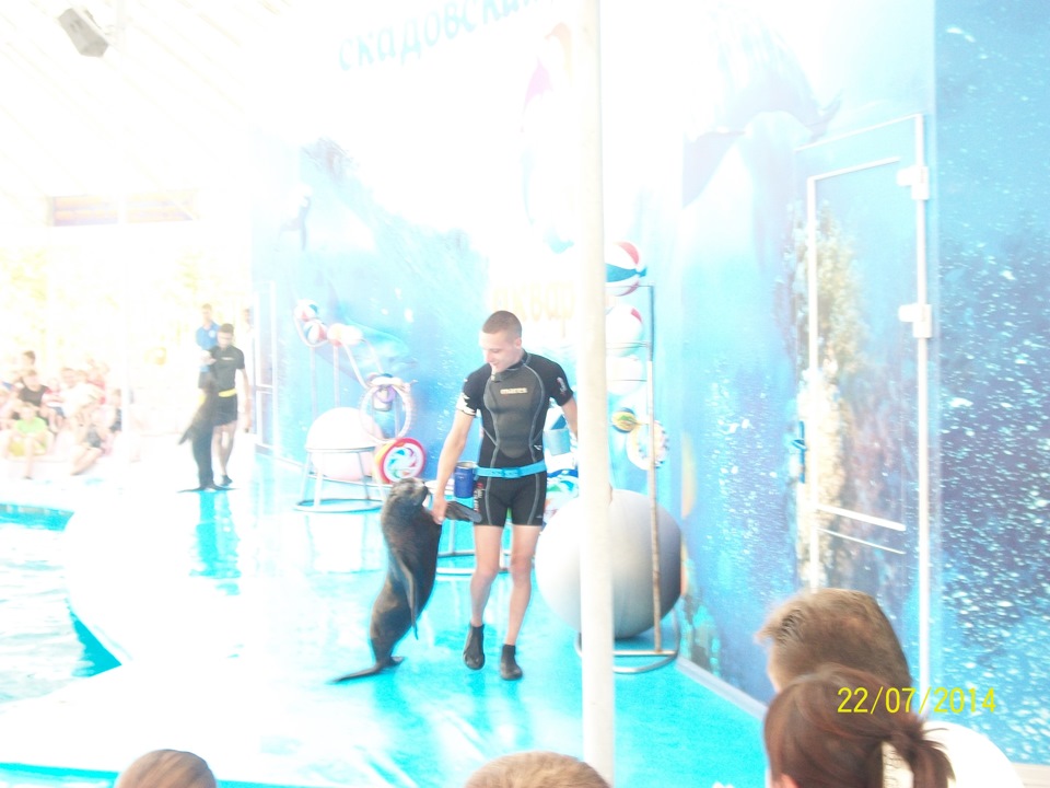 МОРЕ 2014, Скадовський дельфінарій! 3